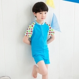 Bộ bơi cộc liền xanh, tay quả