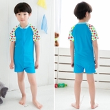Bộ bơi cộc liền xanh, tay quả