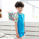 Bộ bơi cộc liền xanh, tay quả