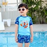 Bộ bơi bé trai cộc rời, xanh Pirate hình tôm cam 361 (SLY195039)