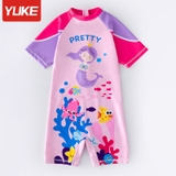 BBG Tím tiên cá-cộc liền -Yuke