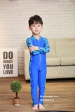 Bộ bơi dài liền xanh, hình cá