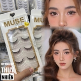 Mi Giả Gân Trong Muse