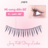 Lông Mi Giả Gân Trong Jary Full Strip Lashes