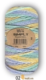 Sợi SIMPLY LOANG