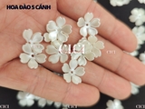 Túi 10g Hoa đào 5 cánh 15mm