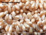 Pha lê giọt nước lỗ ngang màu sữa/pastel 6*12mm