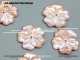 (túi 5 hoa) Hoa resin phủ trai size 2 cm