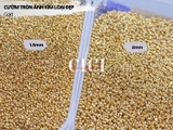 Cườm tròn ánh kim loại đẹp