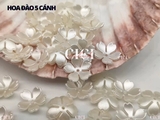 Túi 10g Hoa đào 5 cánh 15mm
