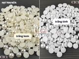 Hạt trai nửa màu trắng kem/ trắng tinh