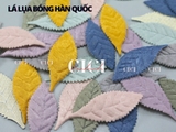 Lá lụa bóng hàn quốc