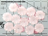 Hoa trai resin mờ 6 cánh 13mm - túi 10 hạt