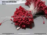 Nhụy hoa mờ đầu tim HQ 3mm