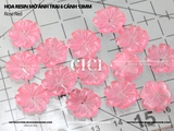 Hoa trai resin mờ 6 cánh 13mm - túi 10 hạt