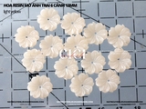 Hoa trai resin mờ 6 cánh 13mm - túi 10 hạt
