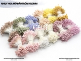 Nhụy hoa mờ đầu tròn HQ 2mm