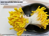 Nhụy hoa mờ đầu tròn HQ 2mm