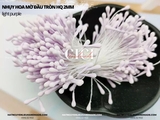 Nhụy hoa mờ đầu tròn HQ 2mm