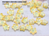 Hoa trai 5 cánh màu loang 7.5mm