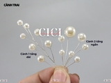 Cành kẽm xoắn hạt trai