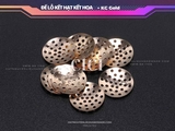 Đế lỗ kết hạt kết hoa