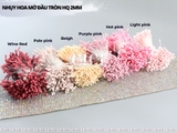 Nhụy hoa mờ đầu tròn HQ 2mm