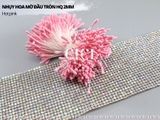 Nhụy hoa mờ đầu tròn HQ 2mm