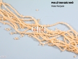 Dây Pha lê tam giác 3mm
