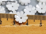 Túi 20 Hoa Hoa resin trắng đục nhiều size
