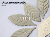 Lá lụa bóng hàn quốc