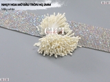 Nhụy hoa mờ đầu tròn HQ 2mm