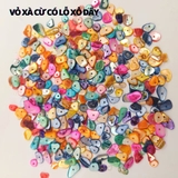 Vỏ xà cừ có lỗ xỏ dây