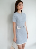 Tarte tatin Dress in Silver