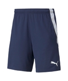 Quần Thể Thao Chính Hãng Màu Xanh Puma TEAMLIGA 657795-06