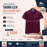 Áo Polo Lacotse màu đỏ đô viền xanh dương-PH5950-99-RIS