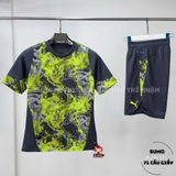 Áo Thể Thao Chính Hãng Puma INDIVIDUAL CUP SHIRT - màu Xanh Lá 660199-08