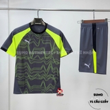 Quần Thể Thao Chính Hãng Puma Individual Liga TR Shorts 2 - màu Xám Nhạt 659828-08