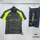 Quần Thể Thao Chính Hãng Puma Individual Soccer Short - màu Xám Nhạt 660205-08