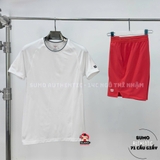 Áo Thể Thao Chính Hãng Wilson Team Seamless Crew Tee - màu Trắng WM00282411-WTA