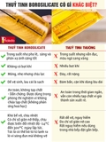 Chai Đựng Dầu Ăn, Bình Thủy Tinh Đựng Dầu Ăn, Nước Mắm,.. Thủy Tinh An Toàn Sức Khỏe, Chống Nhỏ Giọt – ảnh 9