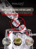 Cốc Thuỷ Tinh Borosilicate 2 Lớp Cách Nhiệt Có Tay Cầm Cao Cấp PHALEDO P-0924 – ảnh 2