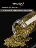 Hũ Thuỷ Tinh Có Nắp Inox, Lọ Thuỷ Tinh Nắp Inox Không Gỉ PHALEDO (P-0377) – ảnh 9