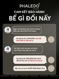 Lọ đựng gia vị thuỷ tinh nhà bếp, thuỷ tinh boro chịu nhiệt và chịu lực, thiết kế muỗng liền nắp thông minh LAZYDO P0322 – ảnh 9