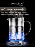Ca Lọc Dầu Ăn Thuỷ Tinh Borosilicate, Bình Lọc Dầu Ăn Nắp Inox 304 Cao Cấp Dung Tích Lớn (800ML, 1000ML, 1300ML) PHALEDO – ảnh 6