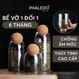 Video Lọ Thủy Tinh Borosilicate Chịu Nhiệt, Không Chứa Chì, Đa Năng Nắp Gỗ Keo - Nắp Viên Bi (P - 0370)
