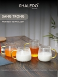Cốc Thuỷ Tinh Harmer Chịu Nhiệt Borosilicate Có Quai Cầm, Ly Uống Nước Có Thể Đun Trên Bếp Hoặc Lò Vi Sóng - PHALEDO – ảnh 7