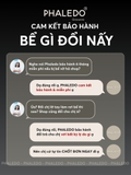 HŨ THỦY TINH BOROSILICATE CAO CẤP ĐA NĂNG CỔ CAO TRƠN NẮP GỖ KEO PHALEDO (PL-0373B) – ảnh 9