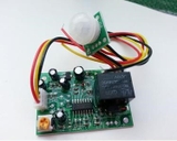 Cảm biến PIR có relay 12V (5D12.1)