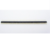 Lược đực đơn lỗ tròn 2.54mm 40P